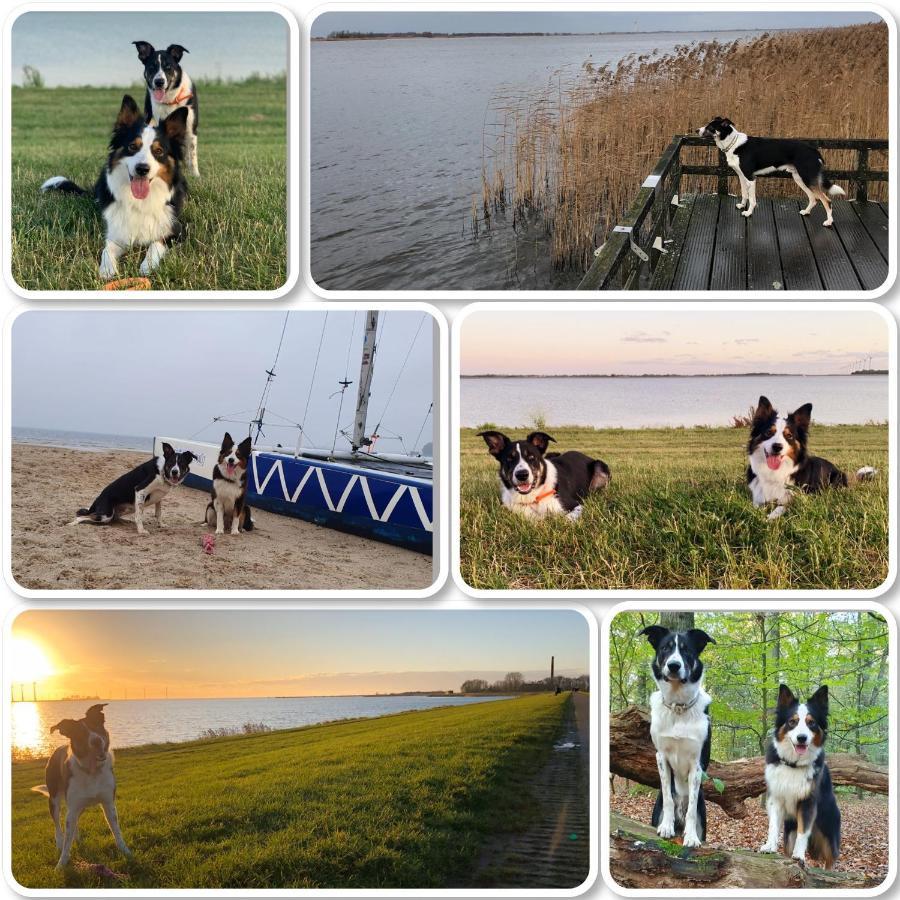 Riverside-Lemmer Buitenkant foto